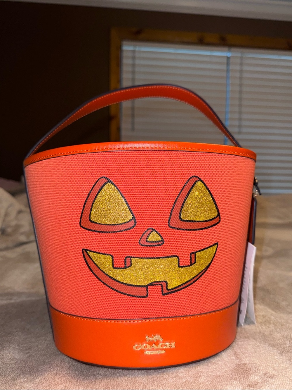 Coach Orange & Gold Pumpkin Applique Bucket Shoulder Bag